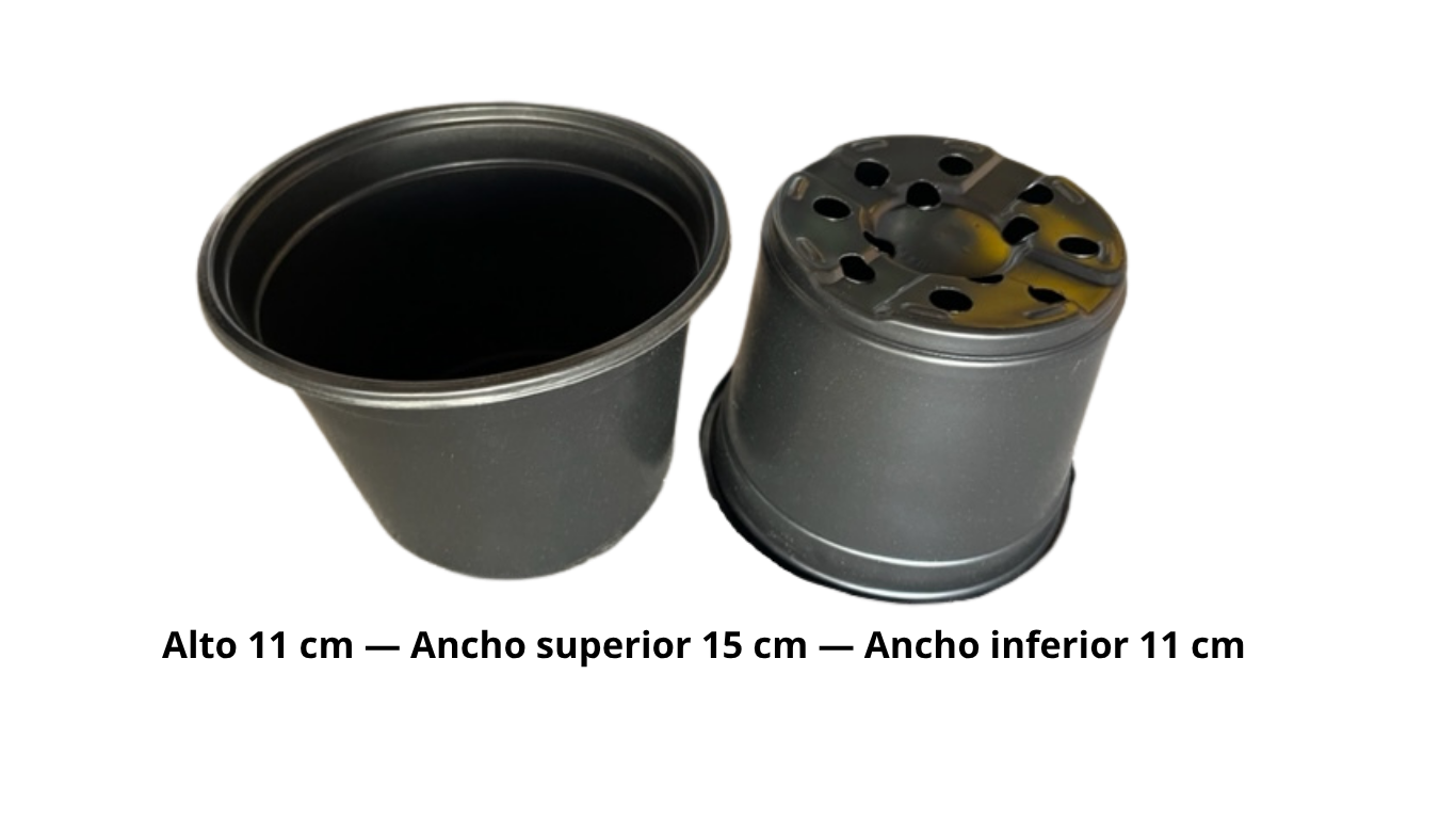 Maceteros Termoformados Negro N°15 Pack 1500 Unidades – Livianos y Resistentes para Vivero