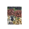 Piedras Decorativas Blancas Pulidas 5–8 cm 1 kg - Imagen 3