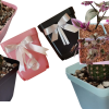 Maceteros Cuadrados N7 Pack 12 – Ideales para Cactus, Suculentas y Viveros - Imagen 3