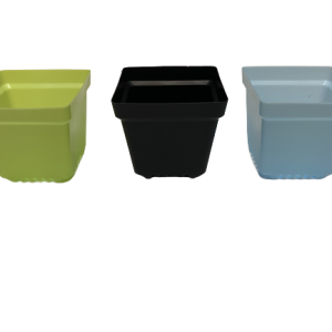 Maceteros Cuadrados Plásticos N10 Pack 12 Unidades para Cactus Suculentas Vivero