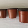 Maceteros Termoformados Terracota N°12 Pack 2000 Unidades – Livianos y Resistentes para Vivero - Imagen 2
