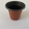 Maceteros Termoformados Terracota N°12 Pack 2000 Unidades – Livianos y Resistentes para Vivero - Imagen 3