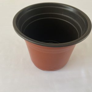Set 20 unidades Termoformado Nº24 /EG240/terracotas//Envió Incluido