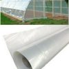 Polietileno Tricapa UV 6 x 10 m 150 Micras – Plástico para Invernadero 2 Temporadas